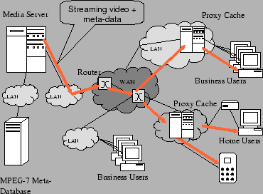 DMMS Architecture