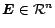 $\mbox{\boldmath$E$}\in {\cal R}^n$